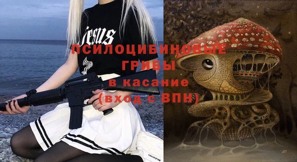 МДПВ Алексин