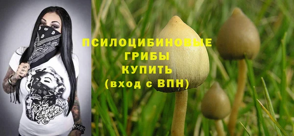 кокс Алексеевка